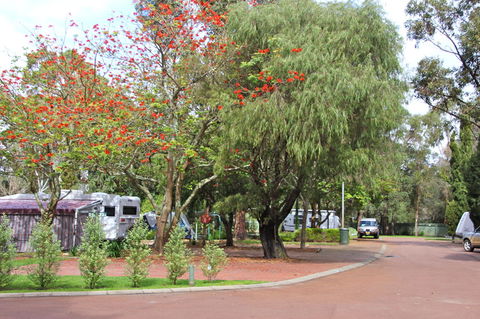 Margaret River Tourist Park - e-Seniors 43