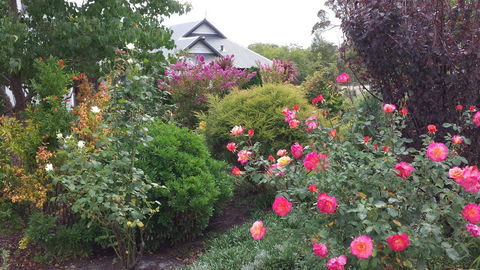 Glenelg On King Bed & Breakfast - e-Seniors 15