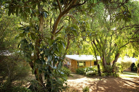 Peppermint Brook Cottages - e-Seniors 13