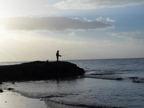 FortyOne - Oceanside Retreat Busselton - e-Seniors 33