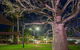 Mercure Broome - thumb 12
