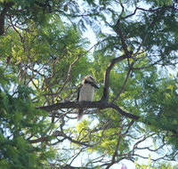 Jacaranda Hideaway Bed Breakfast - e-Seniors