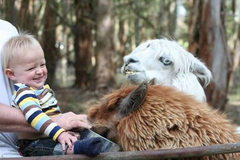 Margaret River Hideaway & Farmstay - e-Seniors 21
