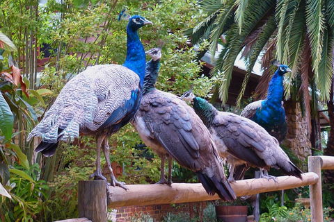 Margaret River Hideaway & Farmstay - e-Seniors 19