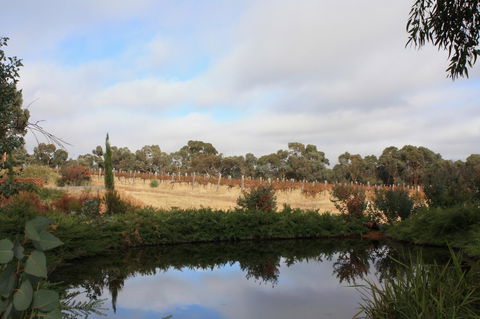 Hotham Ridge Winery And Cottages - e-Seniors 27