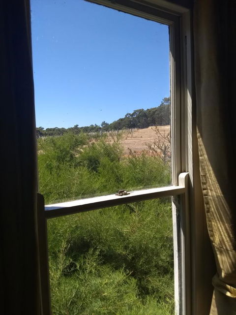 Hotham Ridge Winery And Cottages - e-Seniors 8