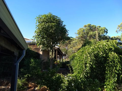 Hotham Ridge Winery And Cottages - e-Seniors 5