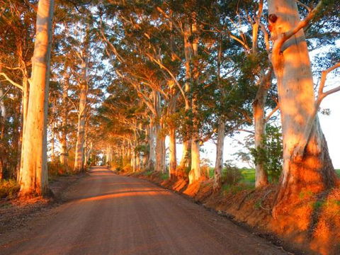 Innisfree Mountain Retreat - e-Seniors 10