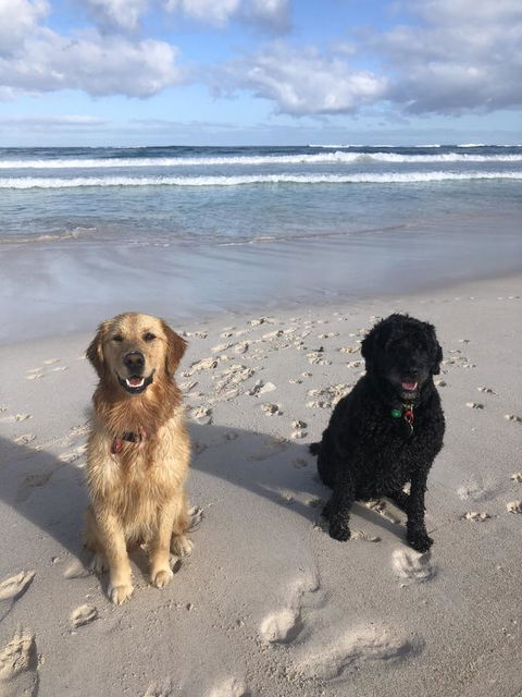 The Bothy Lancelin Family Retreat - e-Seniors 32