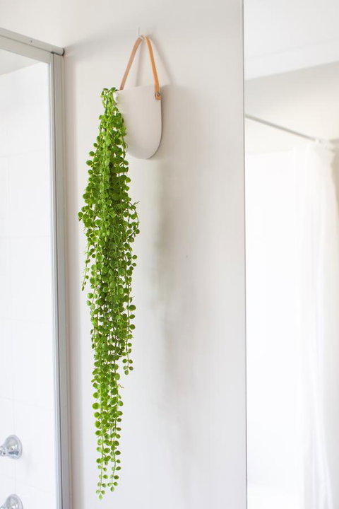 The Beach House - e-Seniors 15