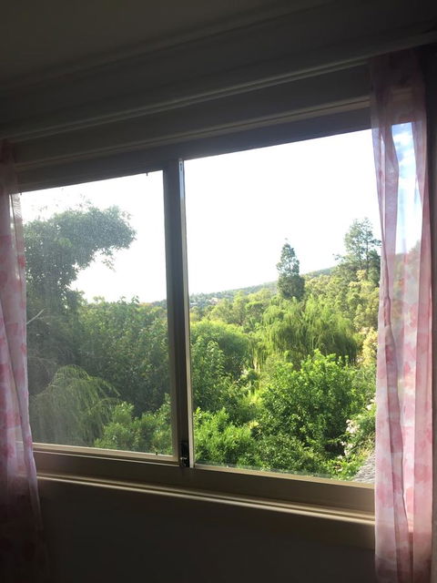 Bright & Beautiful Home On The Hills! - e-Seniors 19