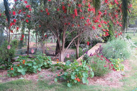 Bentwood Olive Grove Accommodation - e-Seniors 21