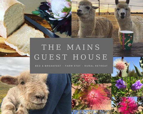 The Mains Guest House - e-Seniors 0