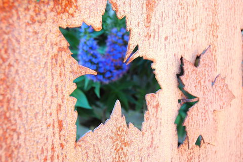 Little Talisker - e-Seniors 29