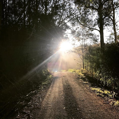 The Pear Cottage - e-Seniors 23