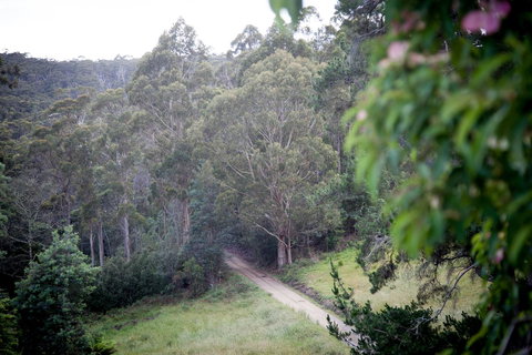 The Pear Cottage - e-Seniors 19