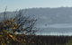 Amble'a'While On Tamar - thumb 23