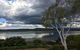 Amble'a'While On Tamar - thumb 27