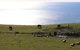 Penguin Seaside Farm - thumb 2