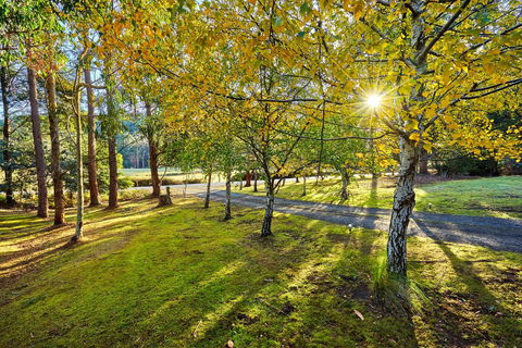 Oyster Cove Chalet - e-Seniors 1