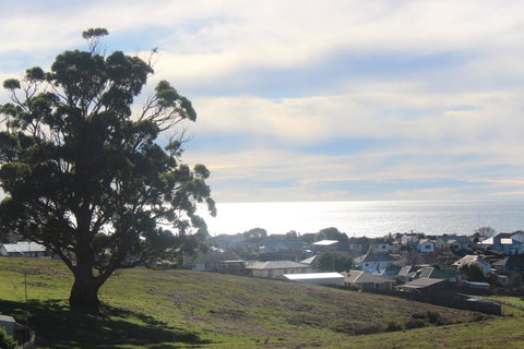 Hilltop Ocean Views å±±é¡¶æµ·æ™¯ - e-Seniors 22