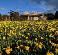 Mountain Blue Guest House - e-Seniors