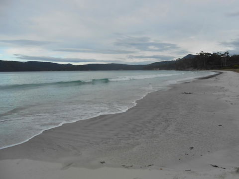 Bruny Ocean Cottage - e-Seniors 11