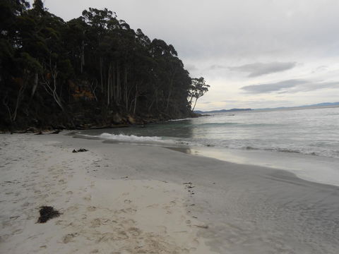 Bruny Ocean Cottage - e-Seniors 17