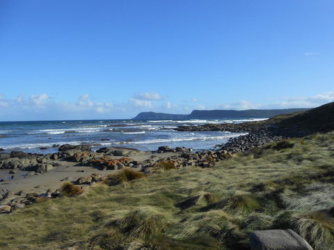 Bruny Ocean Cottage - e-Seniors 15