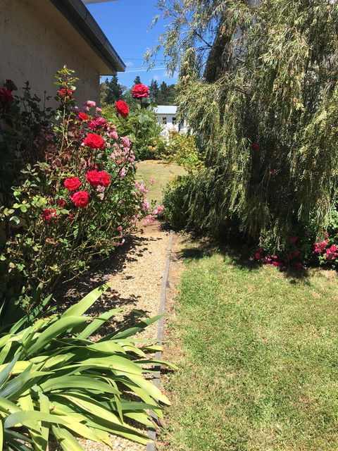 The Storekeeper's - e-Seniors 1