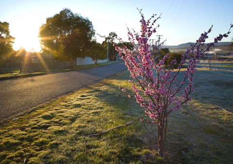 The Storekeeper's - e-Seniors 14