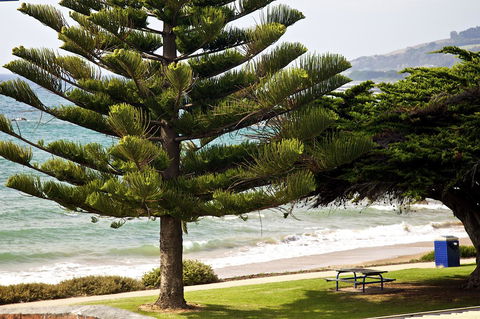 Penguin Beachfront Apartments - e-Seniors 9