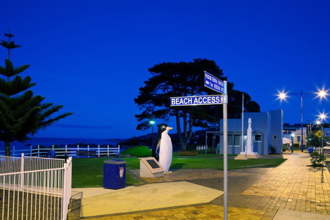 Penguin Waterfront Escape - e-Seniors 2