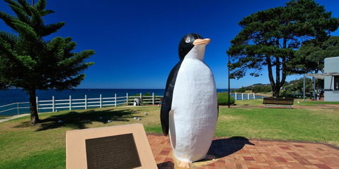 Penguin Waterfront Escape - e-Seniors 4