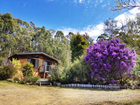 Southern Forest Accommodation - e-Seniors 10