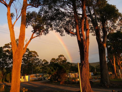 Captain Cook Holiday Park - e-Seniors 12