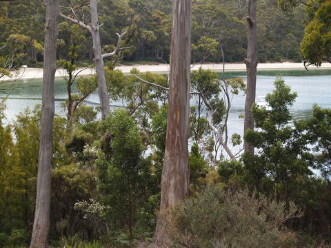 Stewarts Bay Lodge - e-Seniors 23