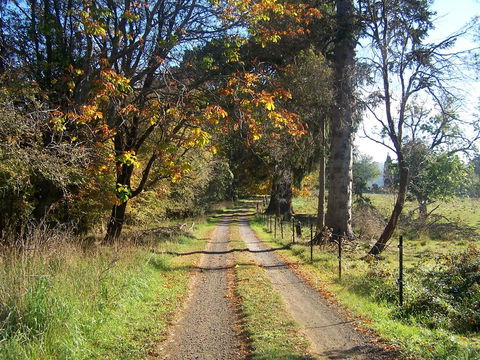 Drumreagh Bed & Breakfast Cabins - e-Seniors 6