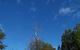 Drumreagh Bed & Breakfast Cabins - thumb 8