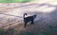 Drumreagh Bed & Breakfast Cabins - thumb 3