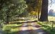 Drumreagh Bed & Breakfast Cabins - thumb 5