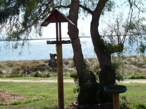 Swansea Motor Inn Tasmania - e-Seniors 20