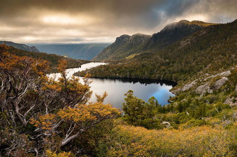 Peppers Cradle Mountain Lodge - e-Seniors 38