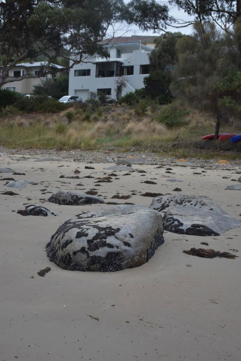 Beachside Taroona - e-Seniors 21