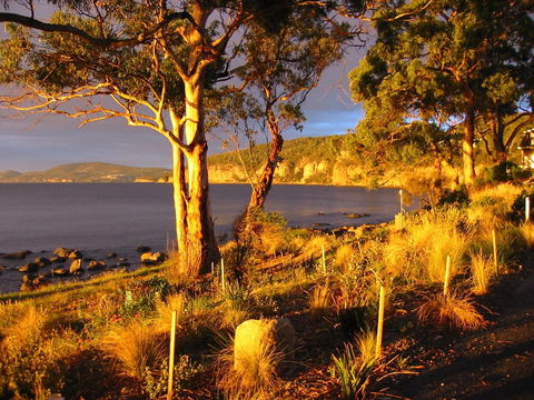 Beachside Taroona - e-Seniors 19