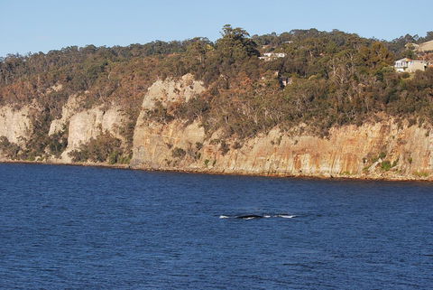 Beachside Taroona - e-Seniors 29