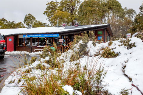 Discovery Parks â€“ Cradle Mountain - e-Seniors 29