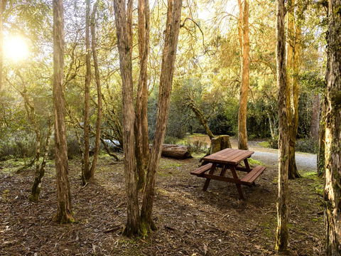 Discovery Parks â€“ Cradle Mountain - e-Seniors 19
