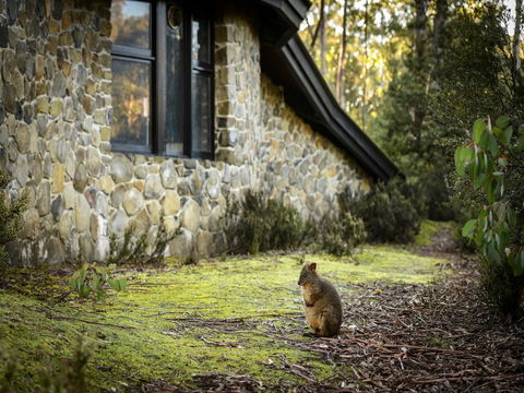 Discovery Parks â€“ Cradle Mountain - e-Seniors 22
