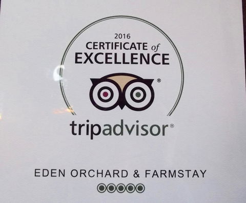 Eden Orchard & Farmstay - e-Seniors 28